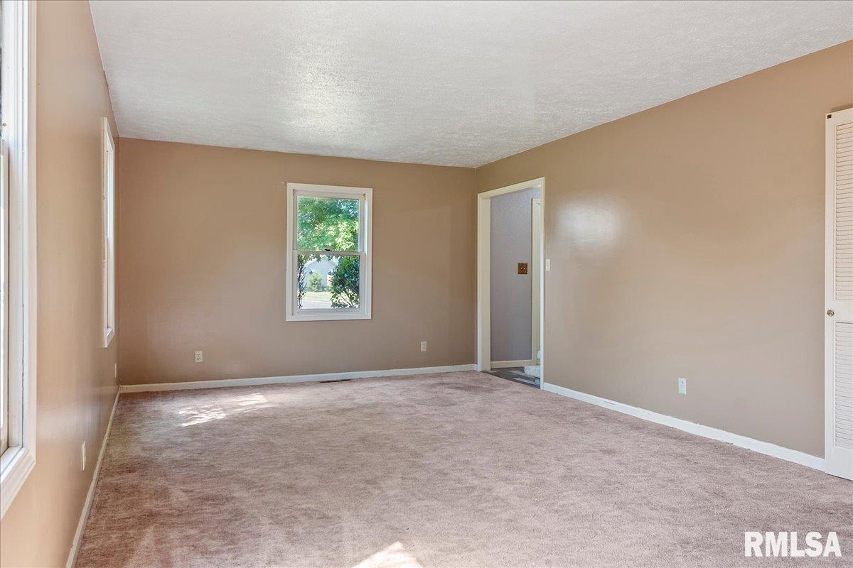 2229 Big Bend Road Taylorville, IL 62568 - Photo 8 of 45