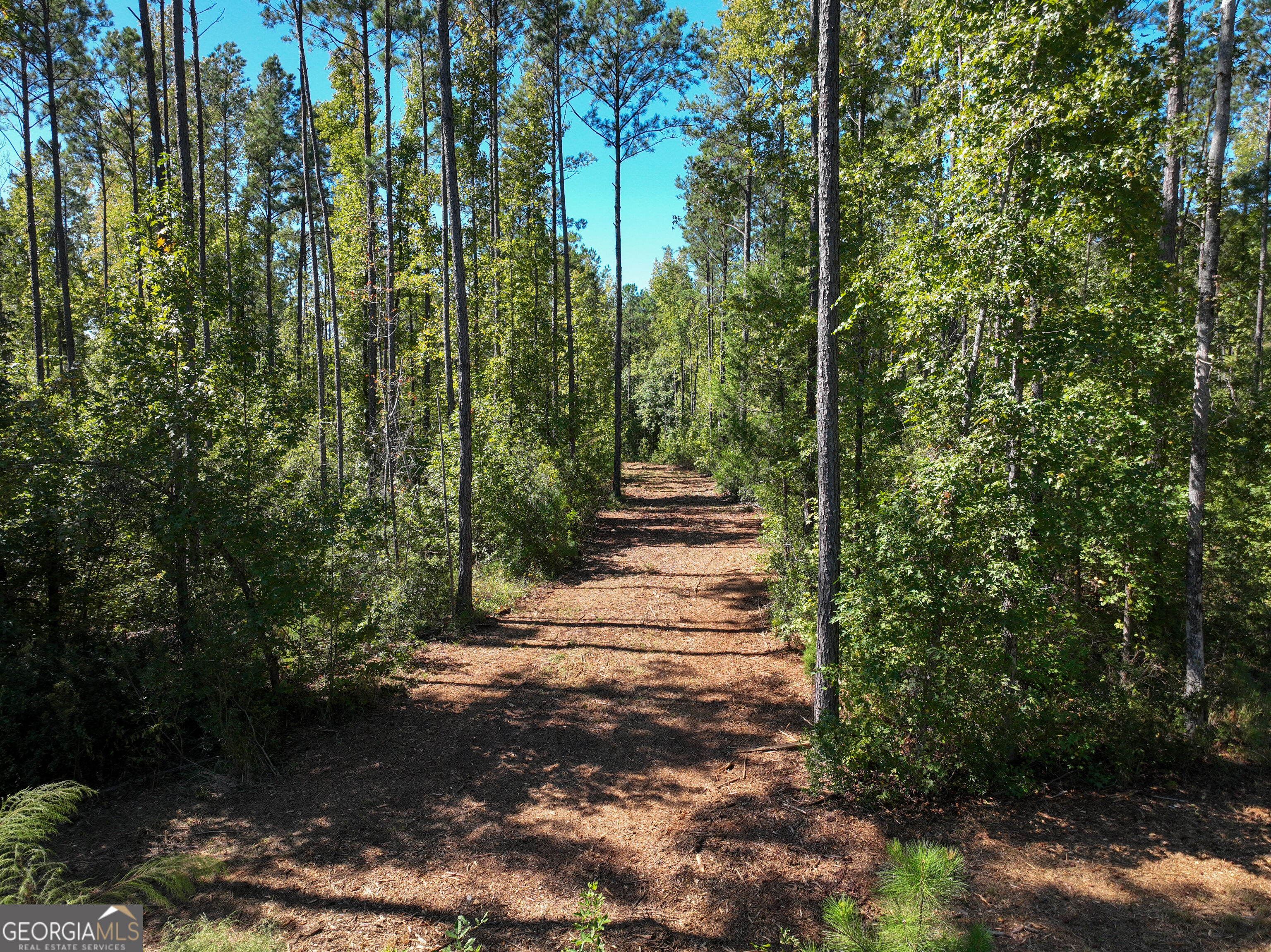 0 Buckrun Road Talbotton, GA 31827 - Photo 8 of 20 Gallery Image 8