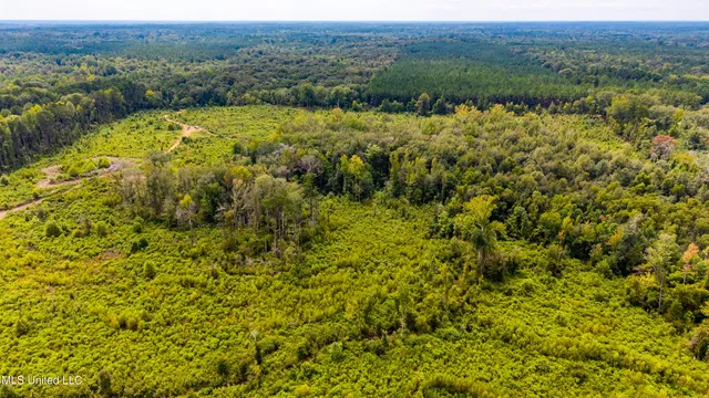 $235,000 | 0 Raytown Road, Canton, MS 39046