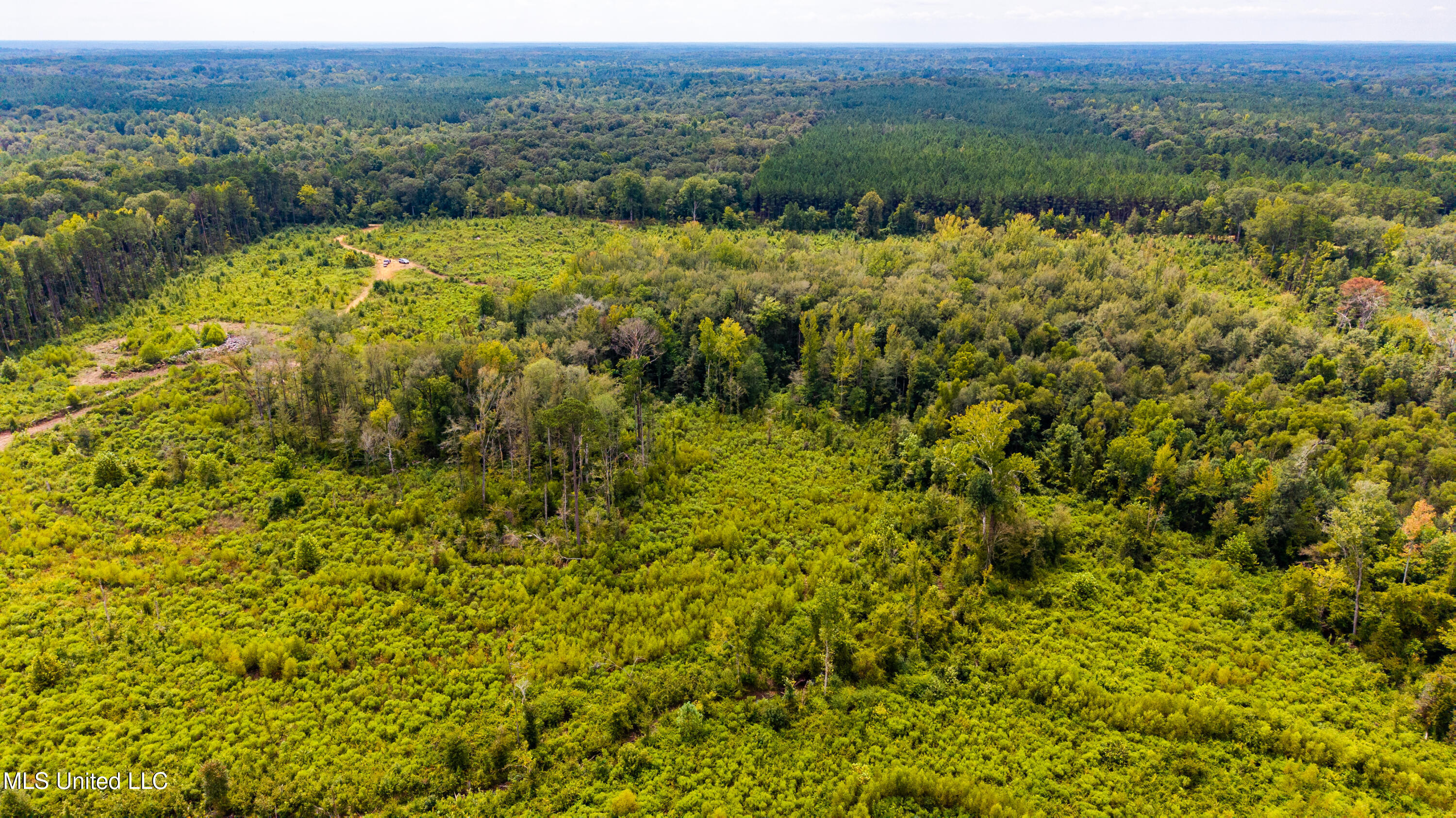 0 Raytown Road Canton, MS 39046 - Photo 2 of 8 Madison.86