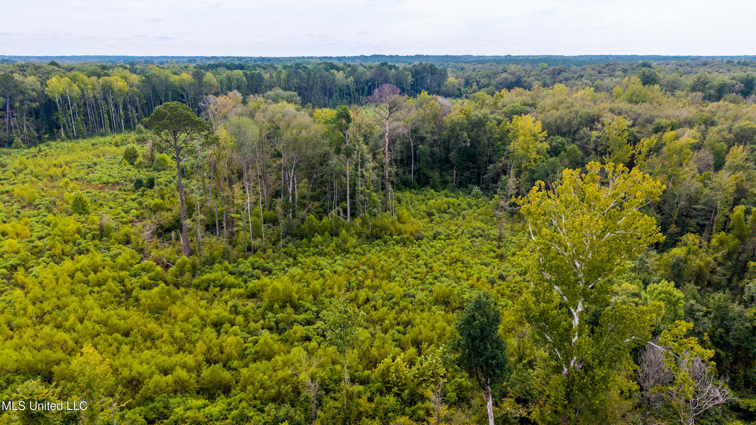 0 Raytown Road Canton, MS 39046 - Photo 3 of 8 DJI_20250821114416_0237_D