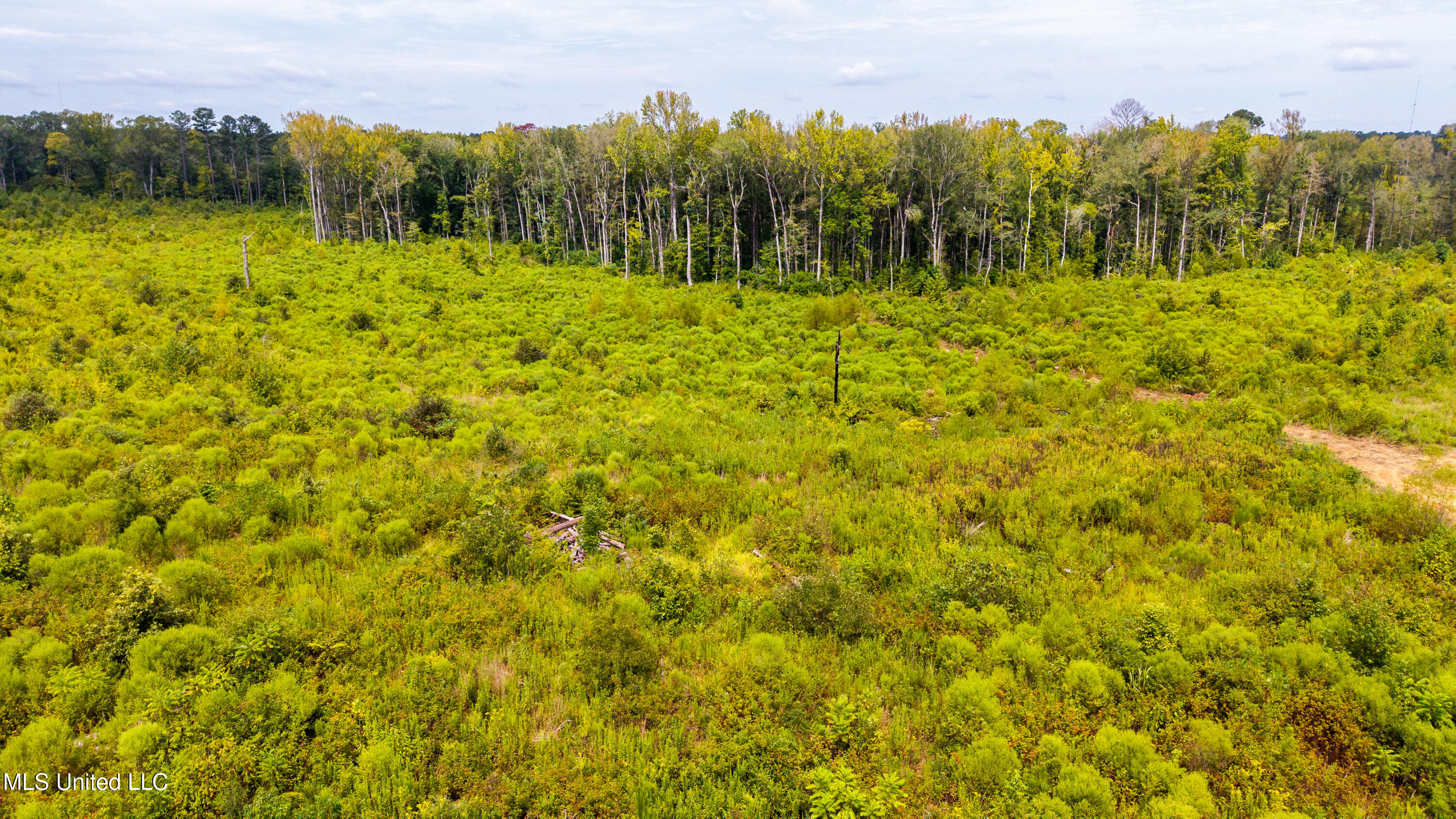 0 Raytown Road Canton, MS 39046 - Photo 4 of 8 DJI_20250821114141_0232_D
