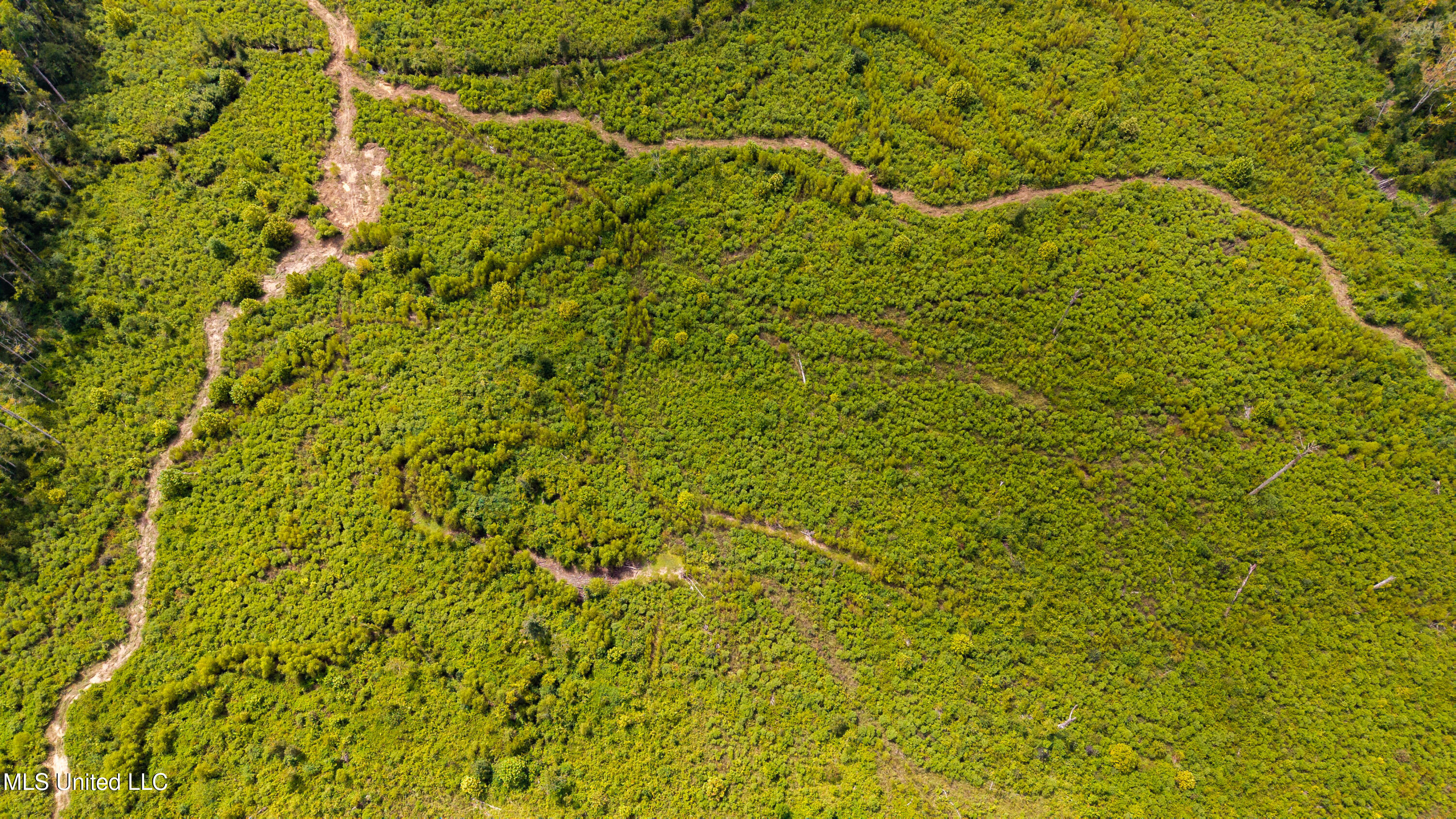 0 Raytown Road Canton, MS 39046 - Photo 8 of 8 DJI_20250821113723_0224_D