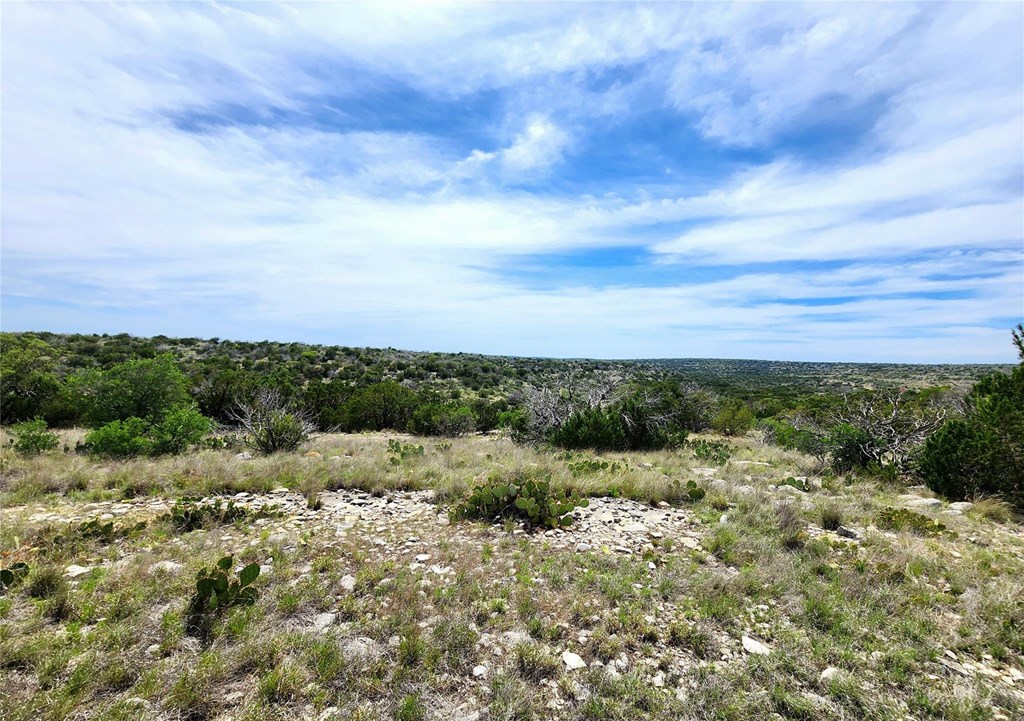Tbd Tbd Peck Road Comstock, TX 78837 - Photo 17 of 21