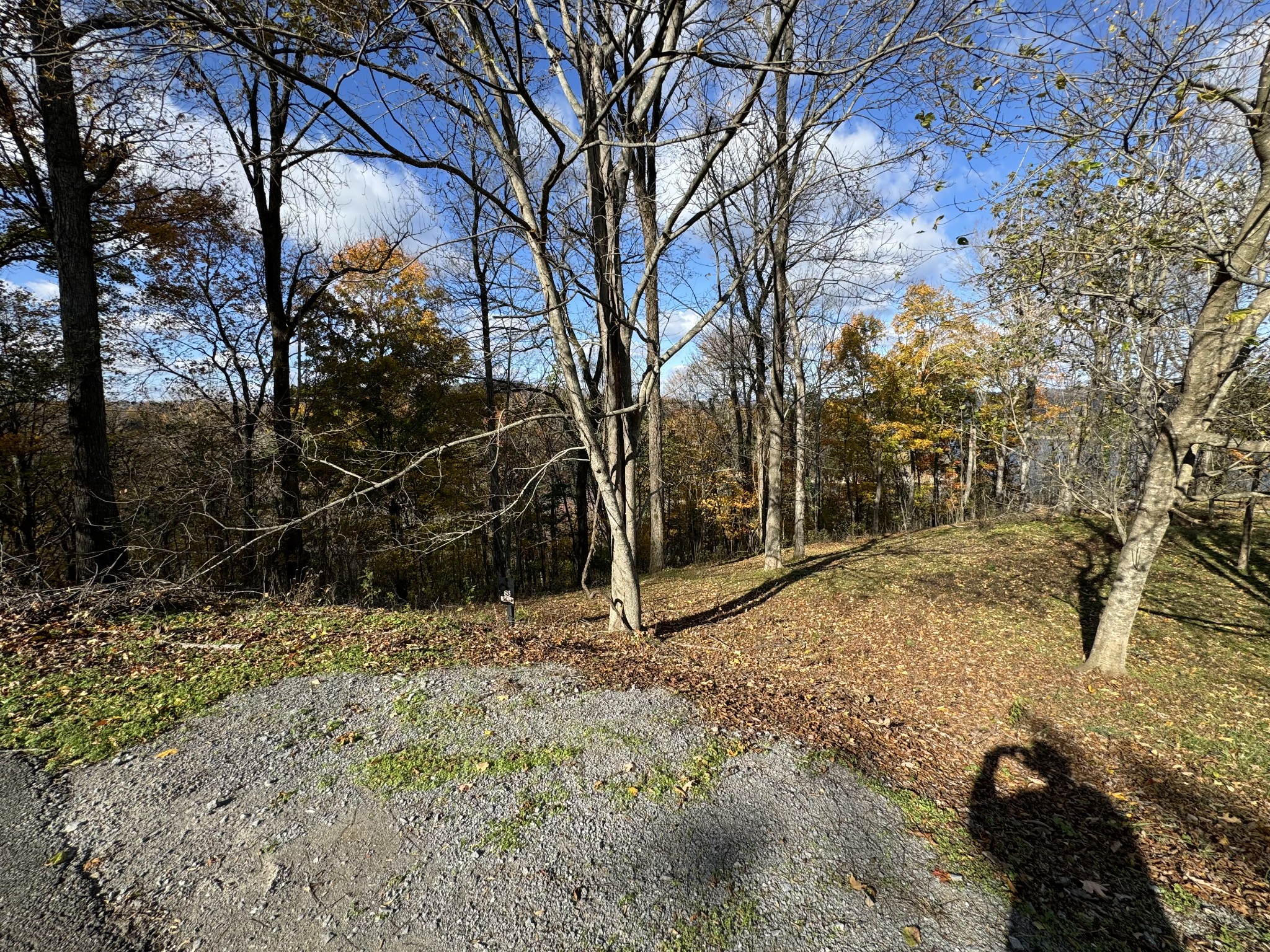 0 Davidson Road Smithville, TN 37166 - Photo 3 of 4 a view of a yard with trees