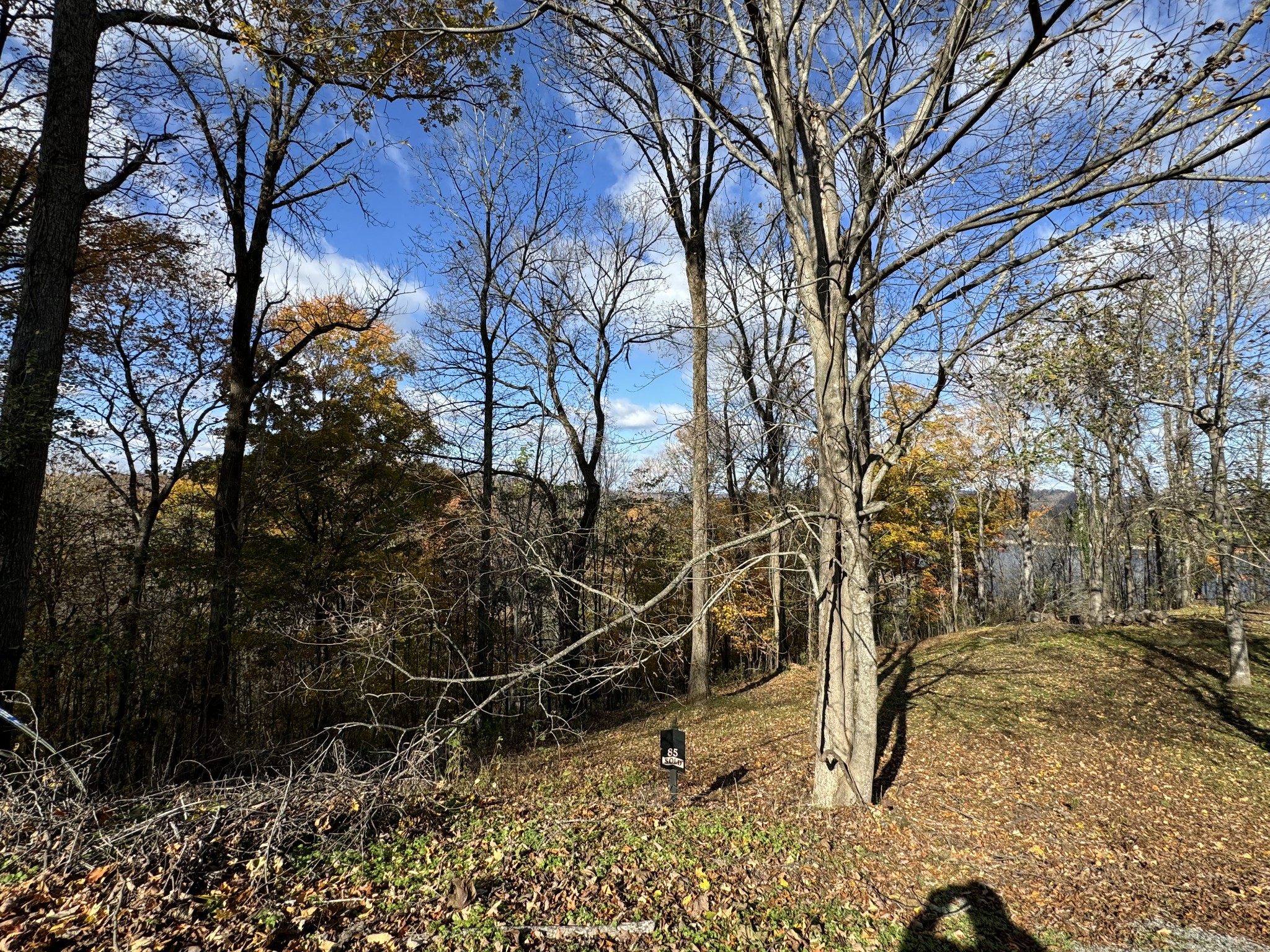 0 Davidson Road Smithville, TN 37166 - Photo 4 of 4 a backyard of a house with lots of green space