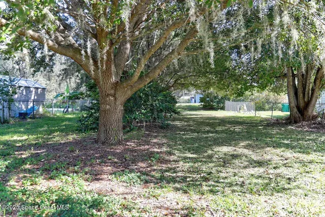 a view of a yard with plants and trees