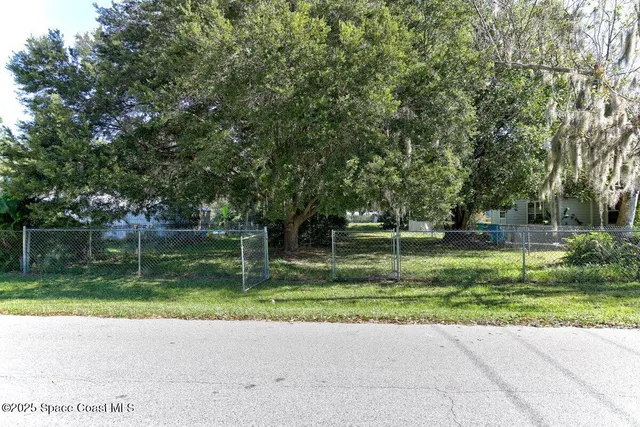 a view of a park with large trees