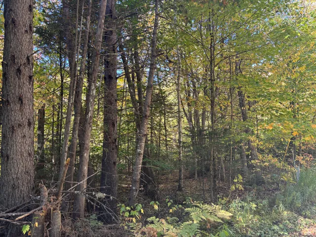 $150,000 | Lot 23-24 Coombs Road, Newry, ME 04261