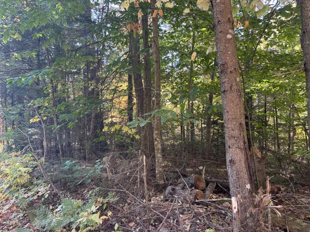$150,000 | Lot 23-24 Coombs Road, Newry, ME 04261