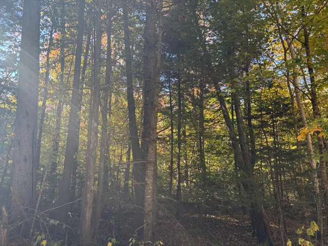 $150,000 | Lot 23-24 Coombs Road, Newry, ME 04261