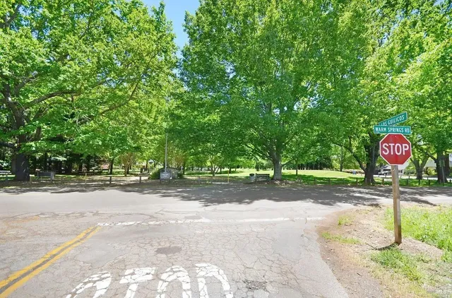 a street view with yard