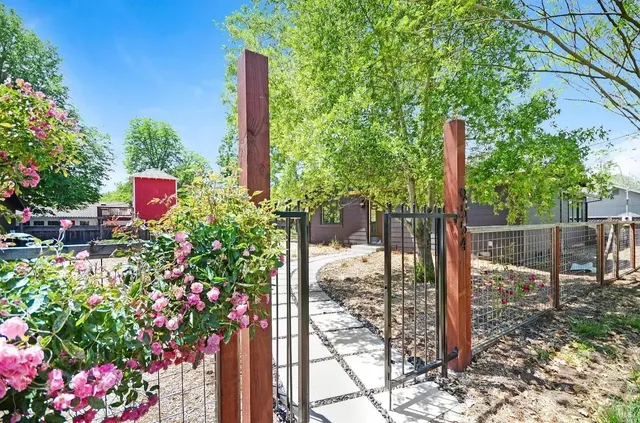 a backyard of a house with lots of green space and plants