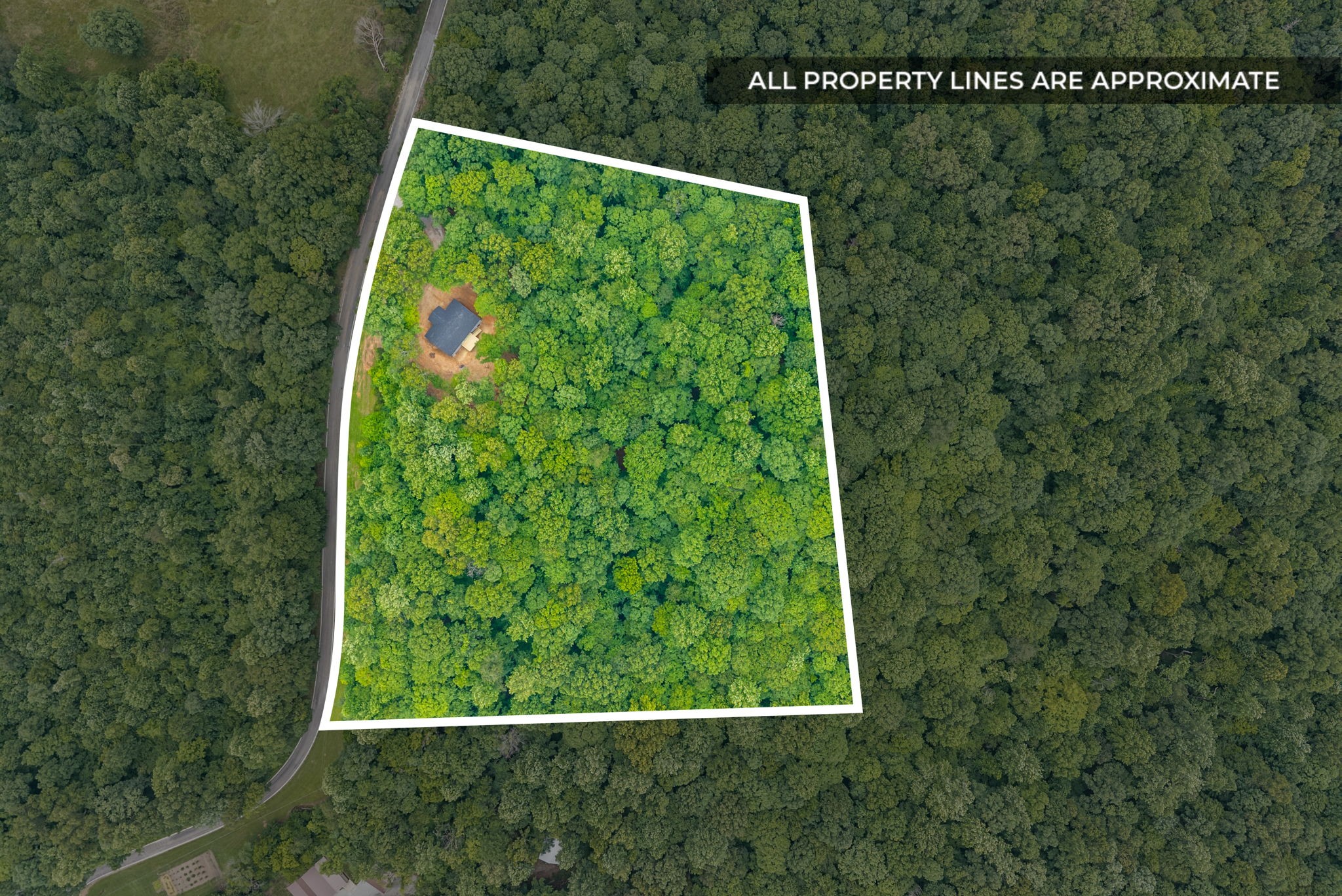 1429 Brigham Branch Road Erin, TN 37061 - Photo 2 of 12