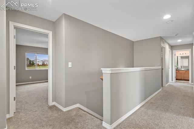 2235 Reed Grass Way Colorado Springs, CO 80915 - Photo 38 of 47
