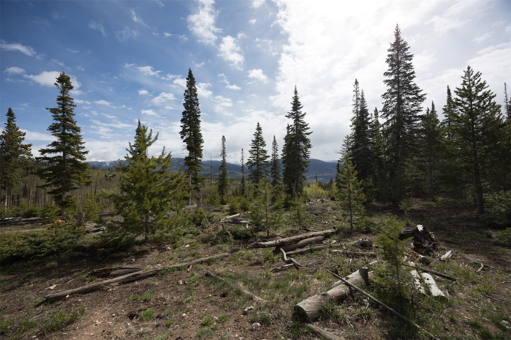 91100 Ryan Gulch Road, Unit 91105 Silverthorne, CO 80498 - Photo 28 of 49 a view of a city with trees in a yard