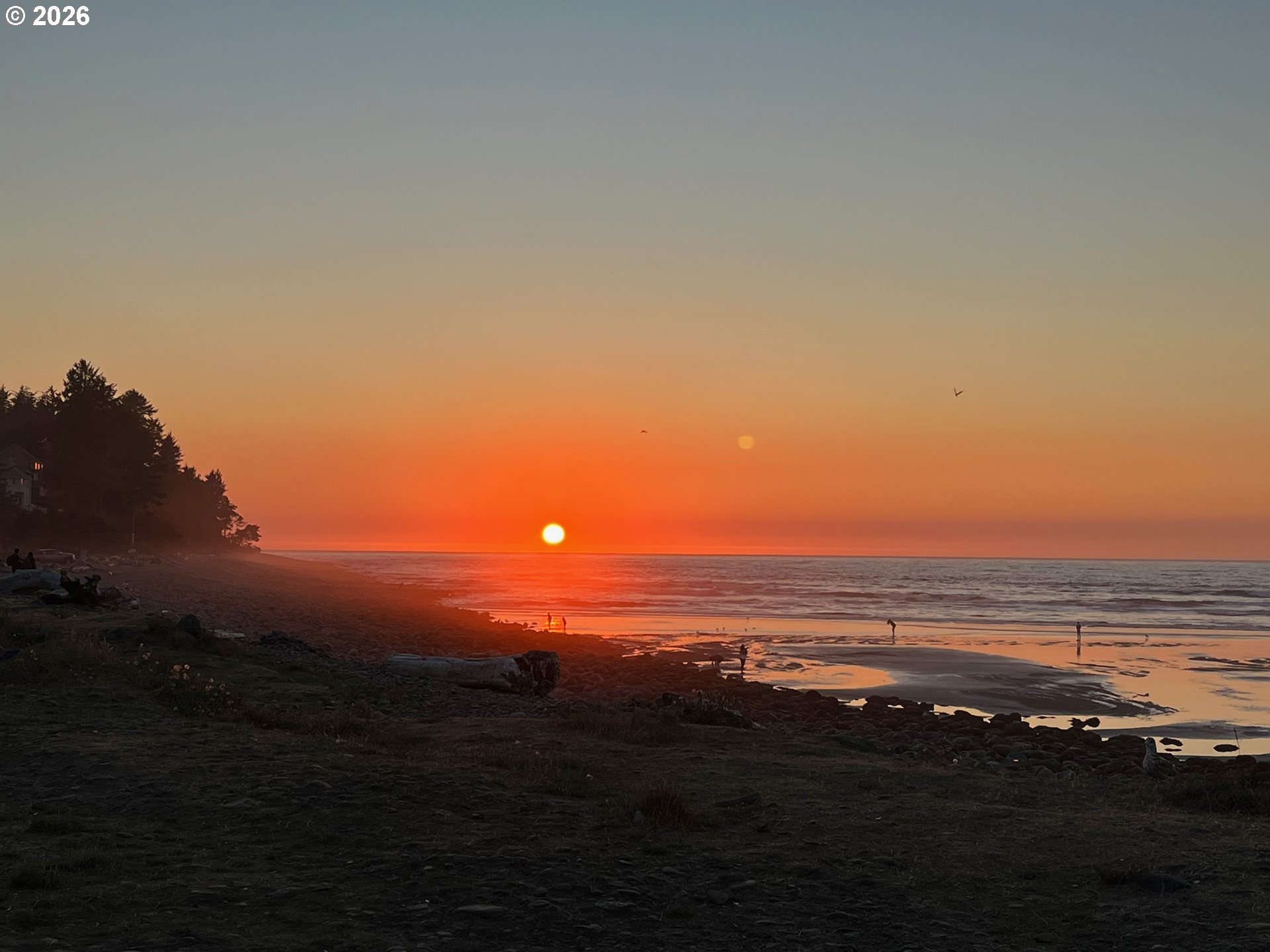 3140 Sunset Boulevard, Unit 36 Seaside, OR 97138 - Photo 41 of 41 a view of an ocean from a beach