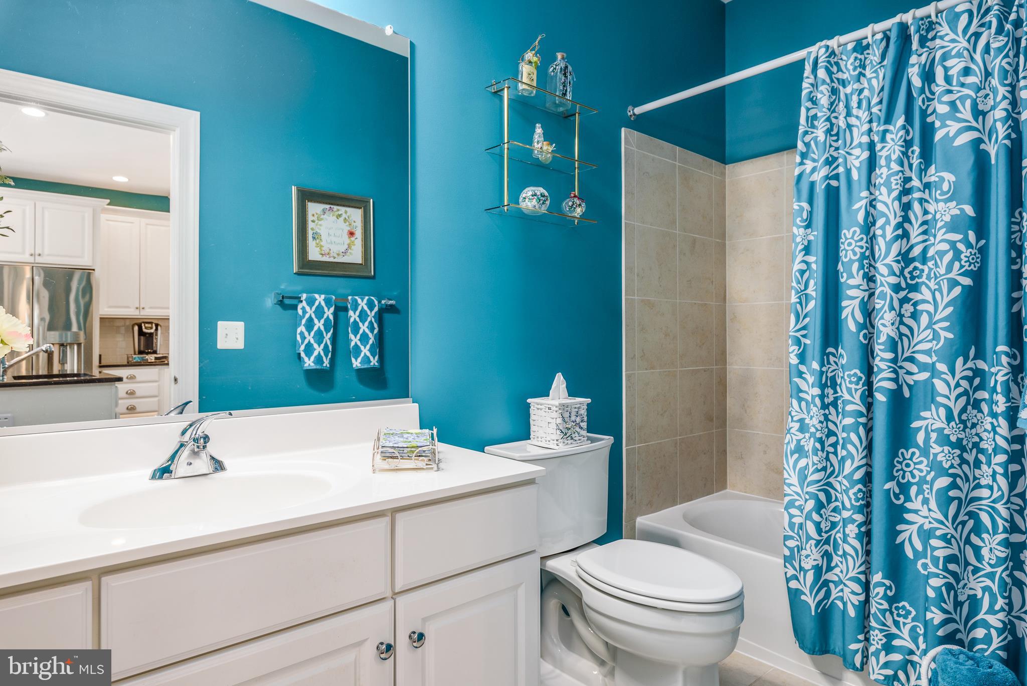44557 Granite Run Terrace Ashburn, VA 20147 - Photo 23 of 68 Second Bathroom