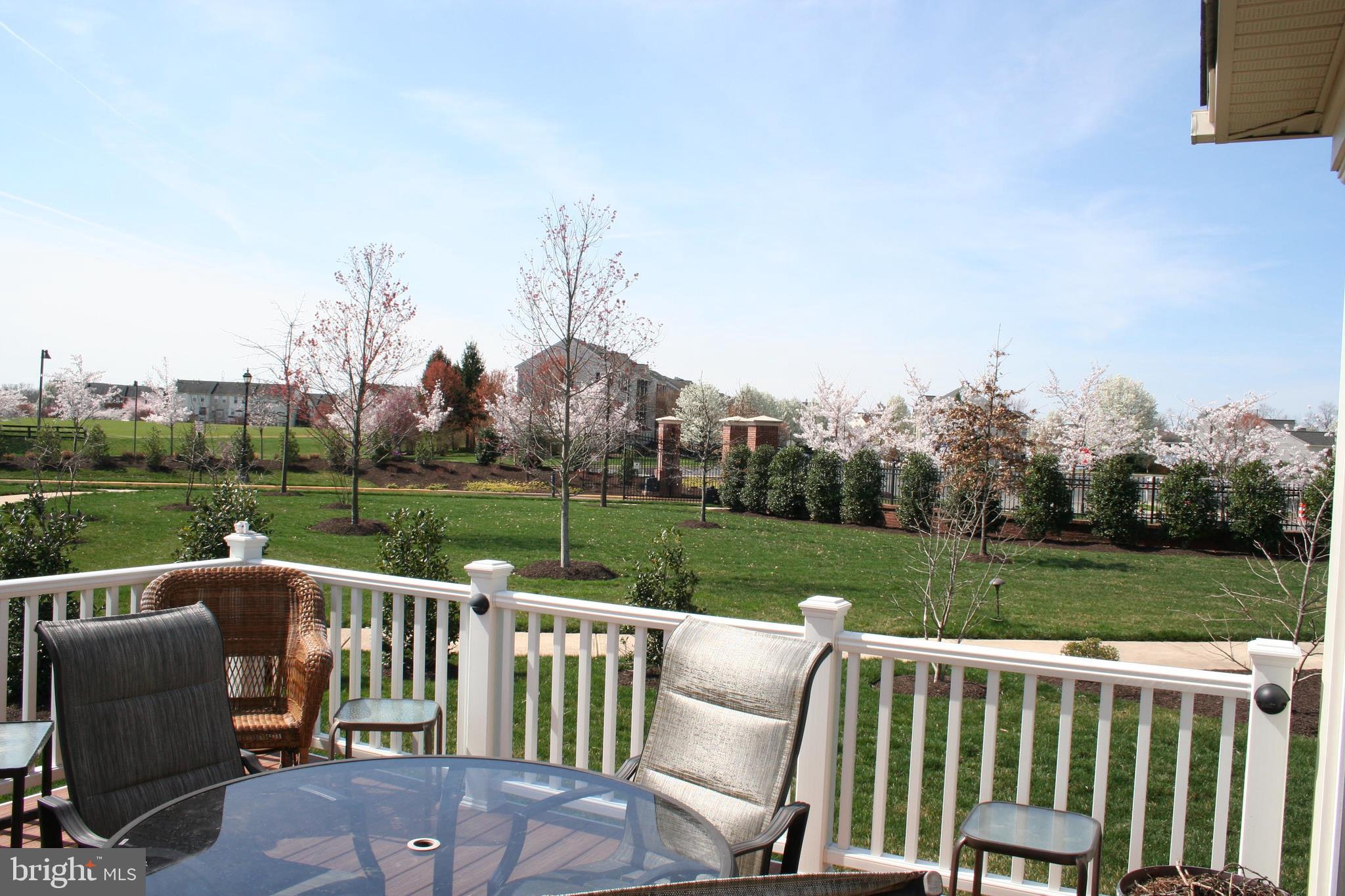 44557 Granite Run Terrace Ashburn, VA 20147 - Photo 39 of 68 View From Deck