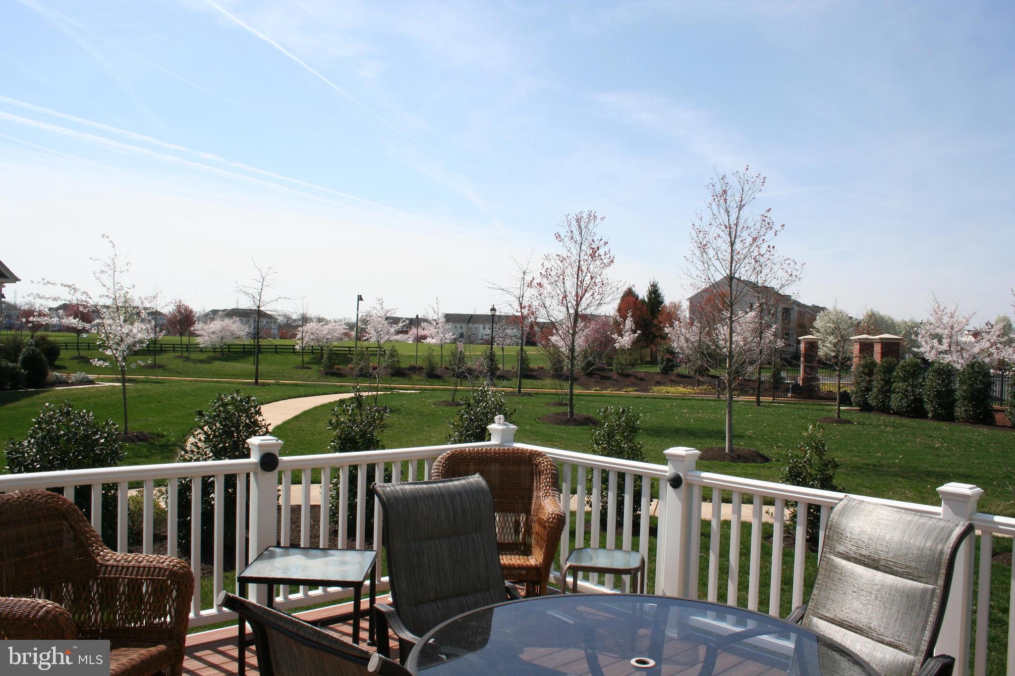 44557 Granite Run Terrace Ashburn, VA 20147 - Photo 40 of 68 View From Deck