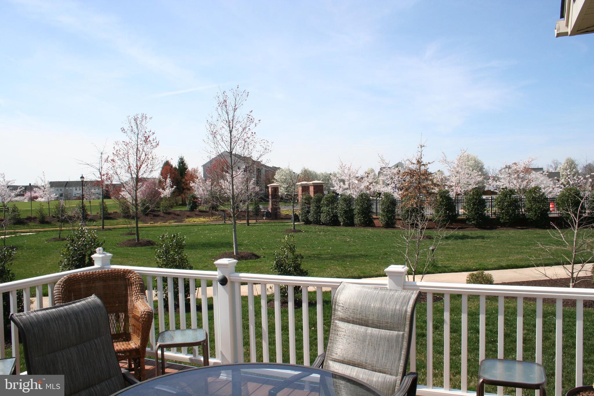 44557 Granite Run Terrace Ashburn, VA 20147 - Photo 43 of 68 View From Deck