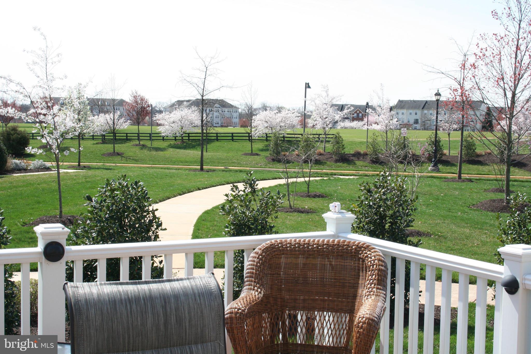 44557 Granite Run Terrace Ashburn, VA 20147 - Photo 44 of 68 View From Deck