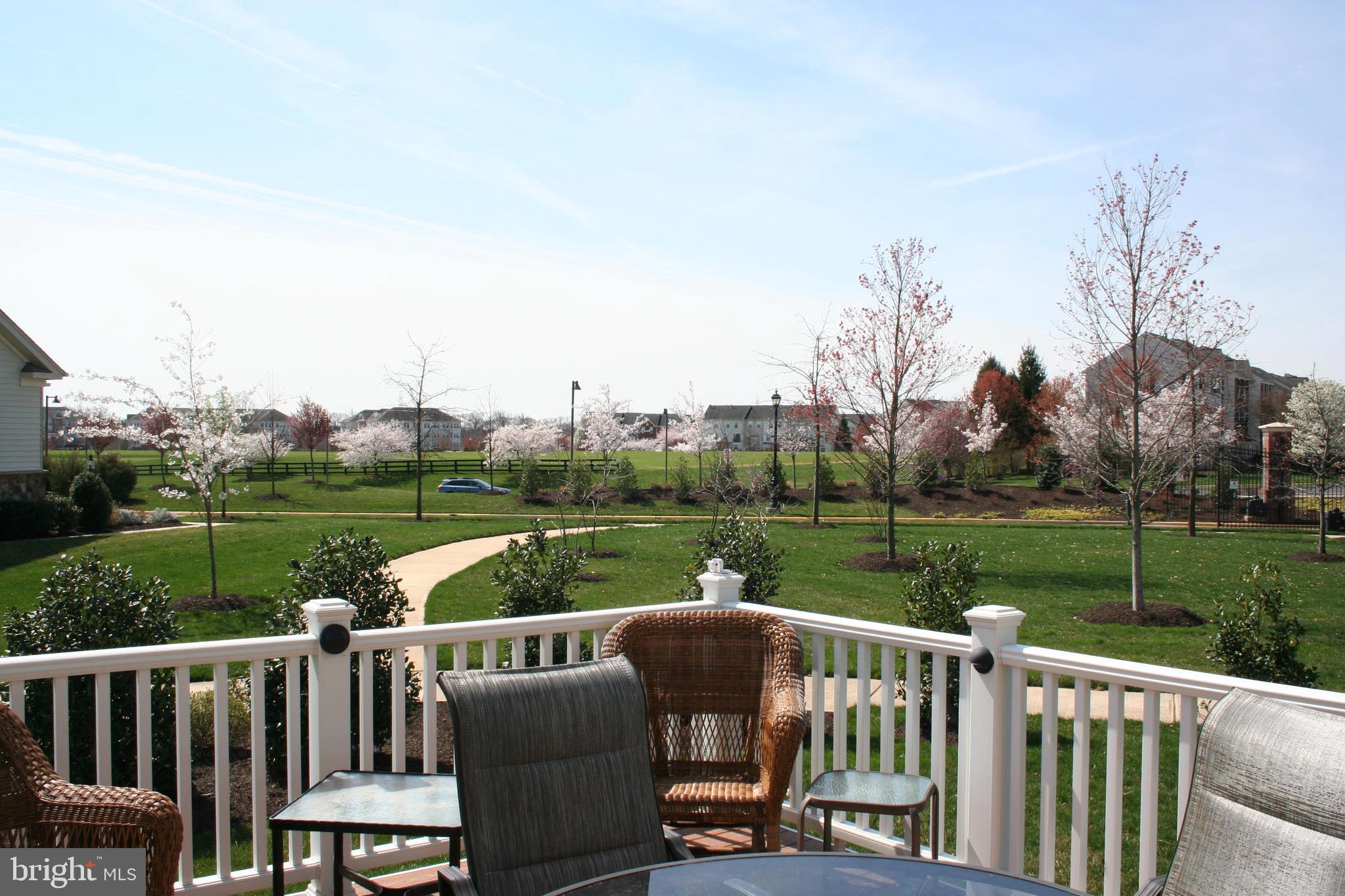 44557 Granite Run Terrace Ashburn, VA 20147 - Photo 45 of 68 View From Deck