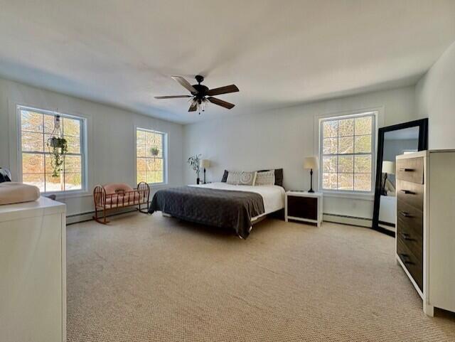 433 Plains Road Hollis Center, ME 04042 - Photo 17 of 24 Primary bedroom