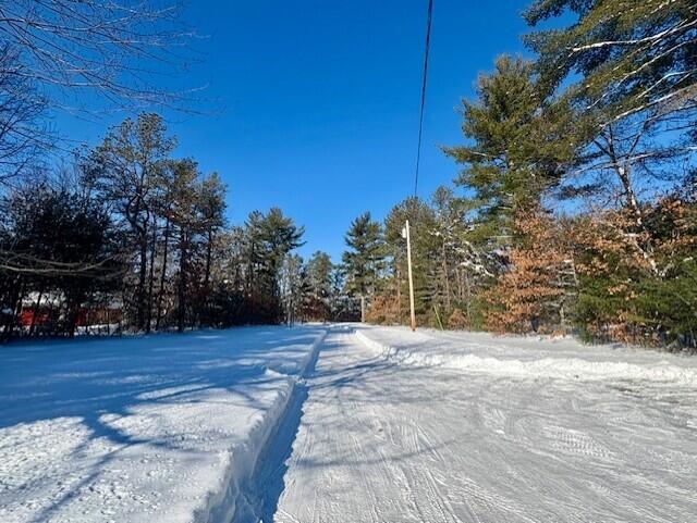 433 Plains Road Hollis Center, ME 04042 - Photo 2 of 24 Front Yard