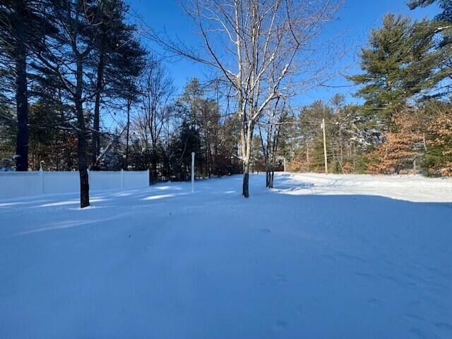 433 Plains Road Hollis Center, ME 04042 - Photo 3 of 24 Front Yard