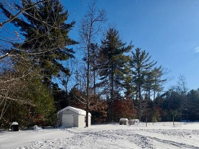 433 Plains Road Hollis Center, ME 04042 - Photo 5 of 24 Back Yard
