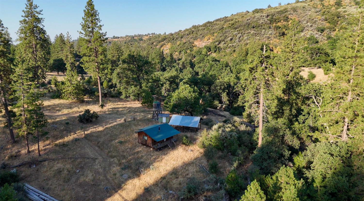 0 Whitaker Forest Road Miramonte, CA 93603 - Photo 38 of 78 a view of a large yard with plants and trees