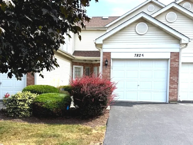a view of a house with a yard and potted plants