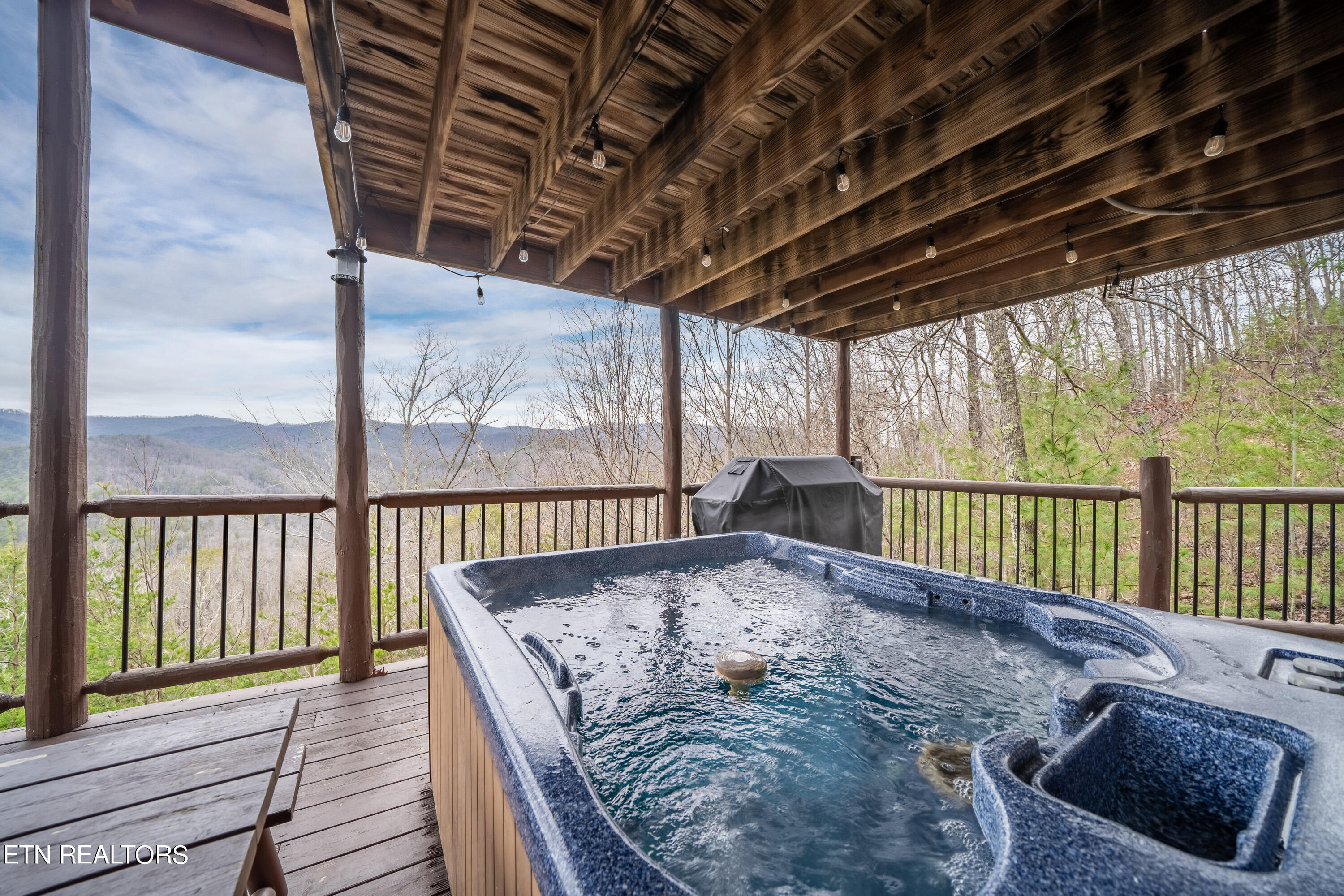 3532 Carsons Ridge Way Sevierville, TN 37862 - Photo 12 of 60 3532 Carsons Ridge-9