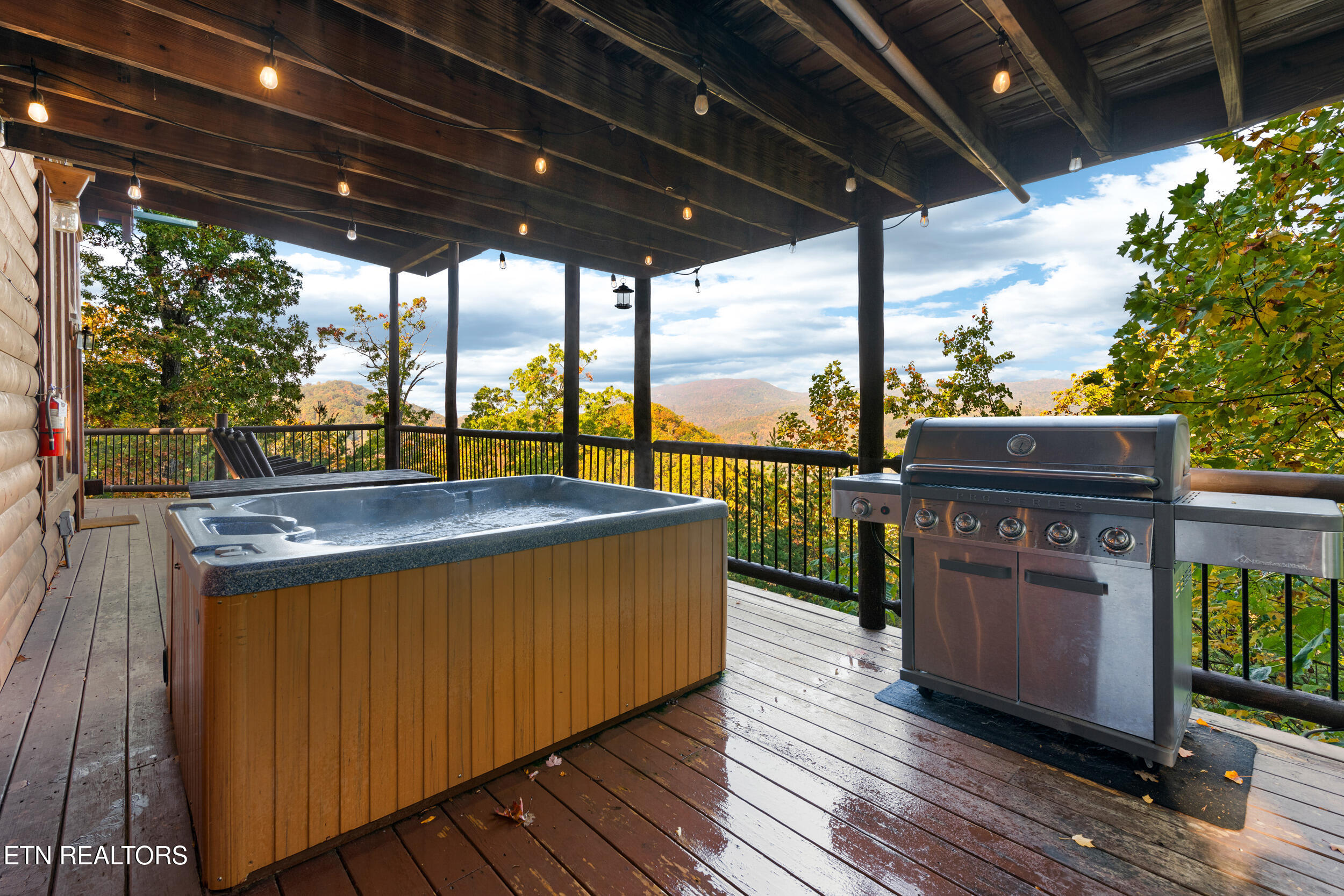 3532 Carsons Ridge Way Sevierville, TN 37862 - Photo 45 of 60 3532 carsons ridge ext-08