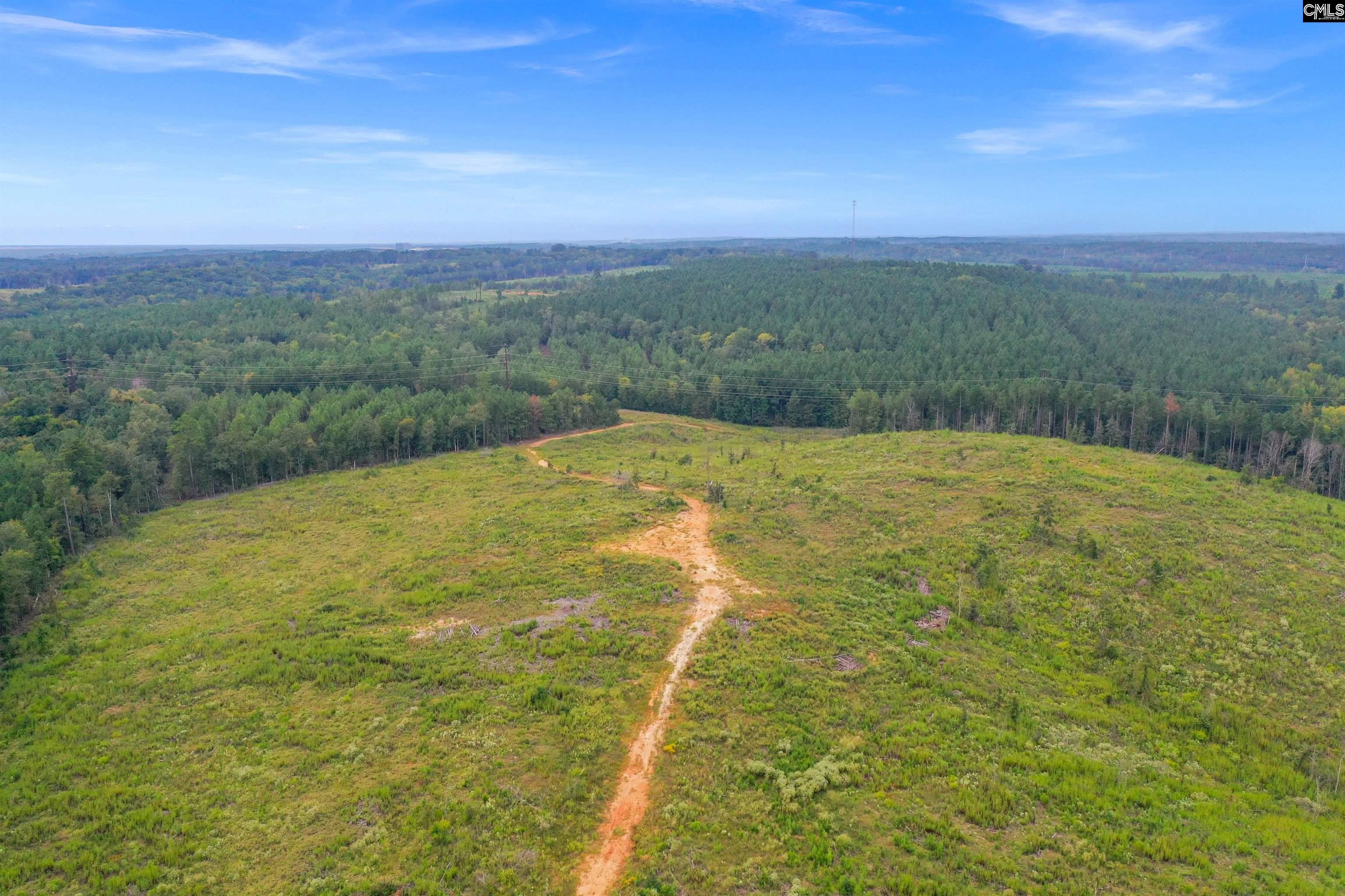 0 Penner Road, Unit 10 Jenkinsville, SC 29065 - Photo 12 of 43