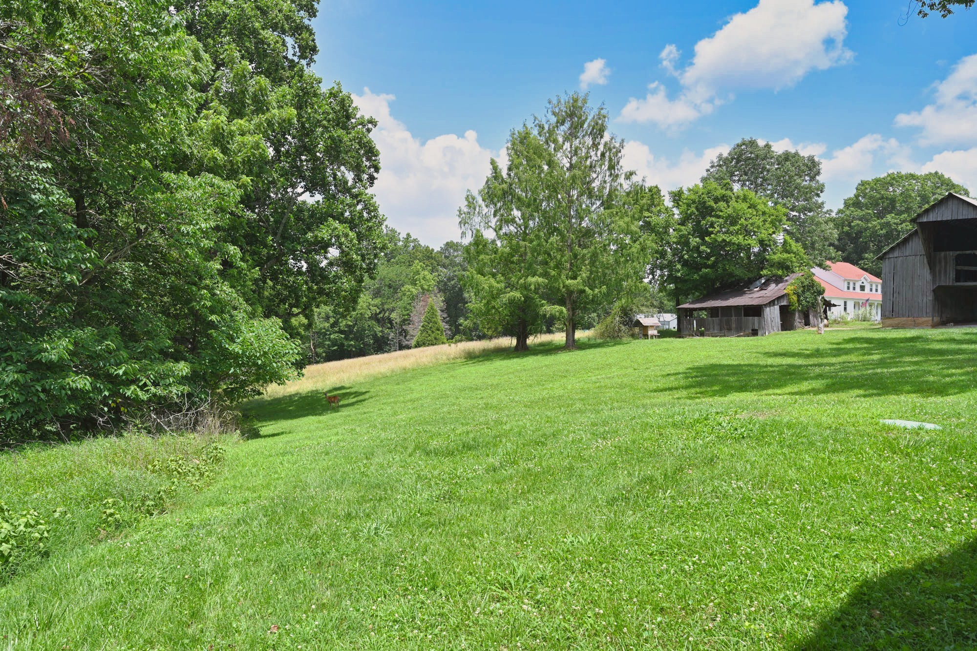 5658 Dividing Ridge Road Goodlettsville, TN 37072 - Photo 54 of 55