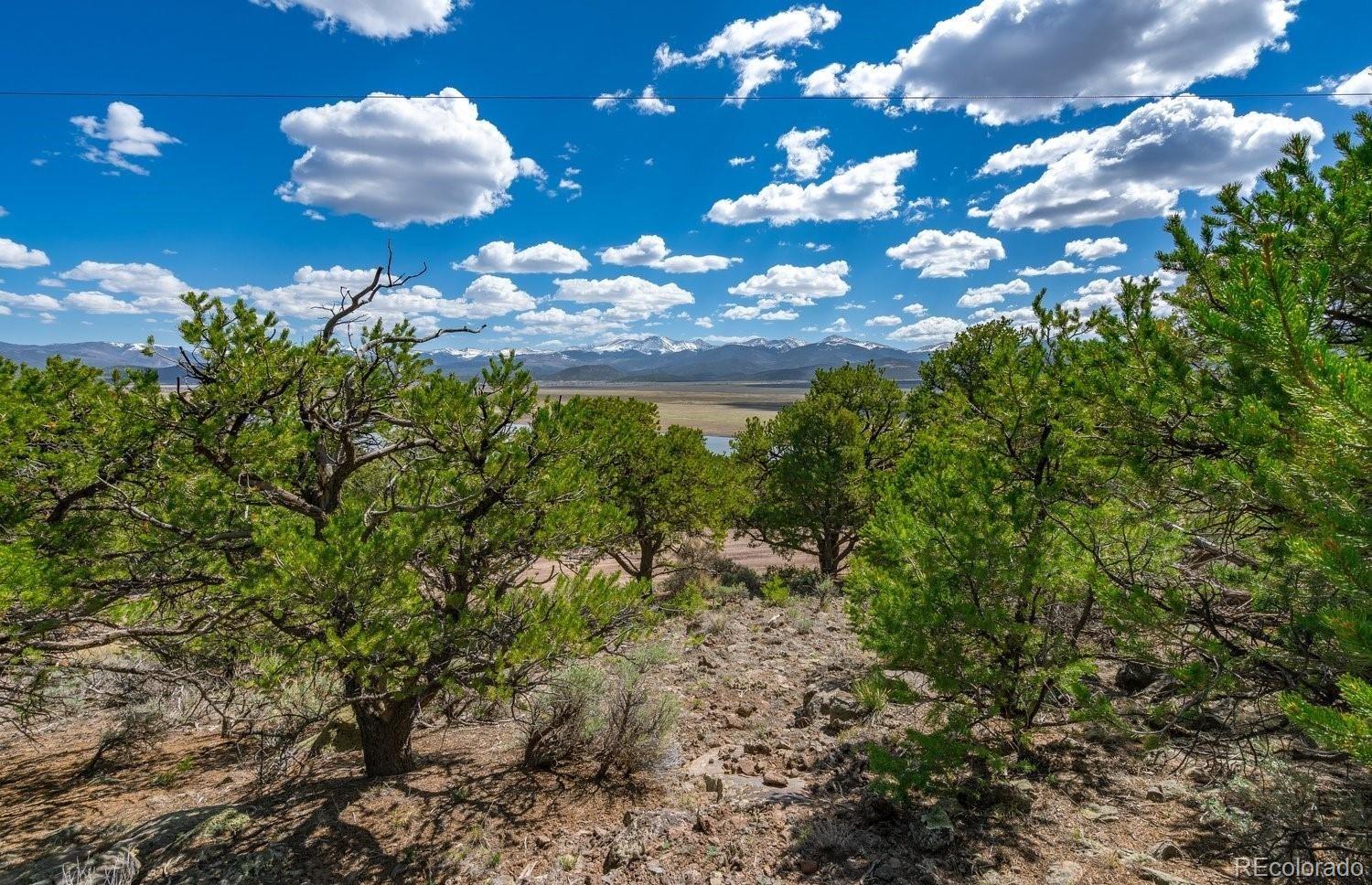 Lot 48 Erin The Red Road San Luis, CO 81152 - Photo 4 of 6 a view of a bunch of flower plants