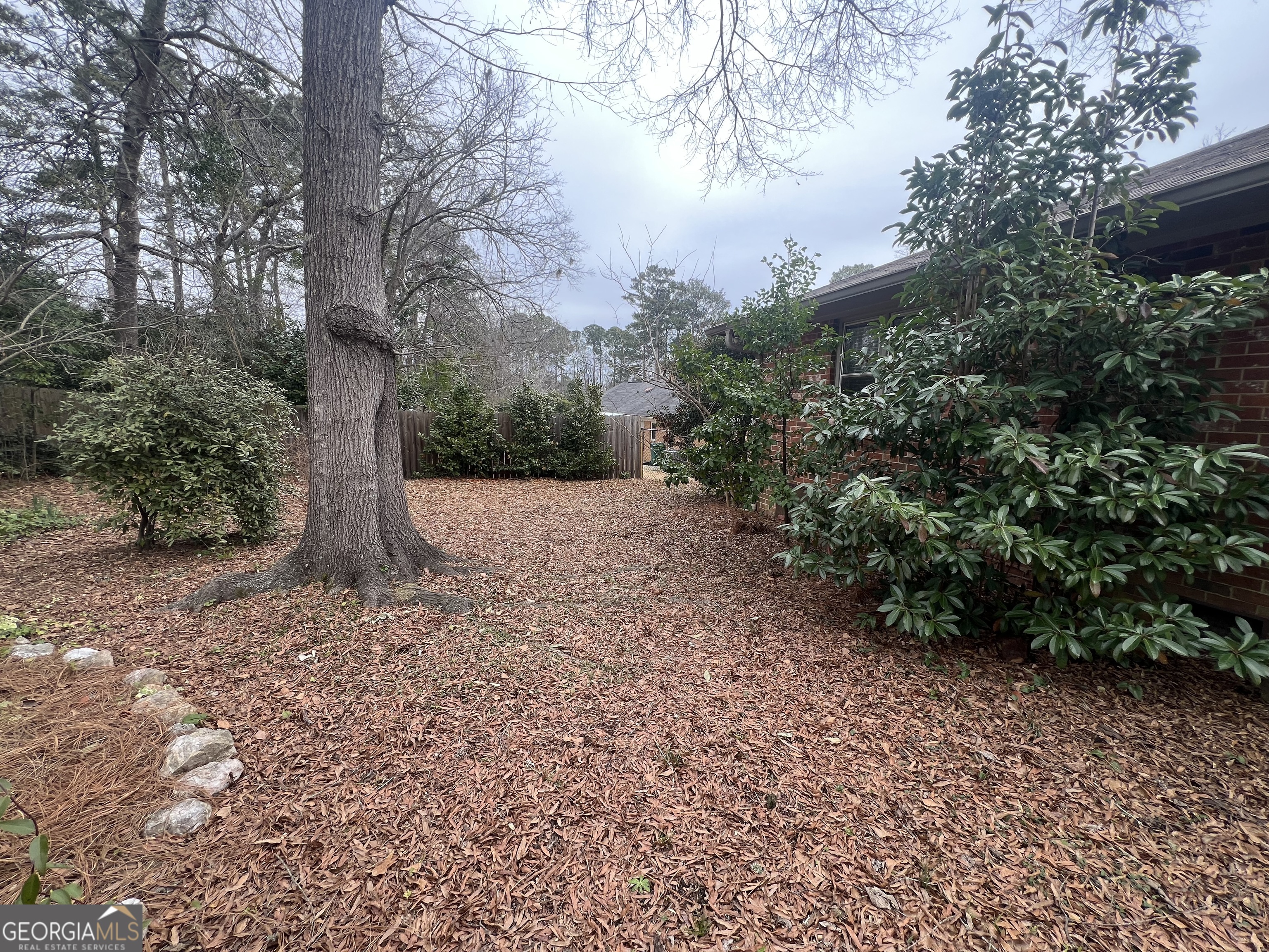 615 Hemlock Drive Thomson, GA 30824 - Photo 30 of 32 a view of a yard with plants and trees