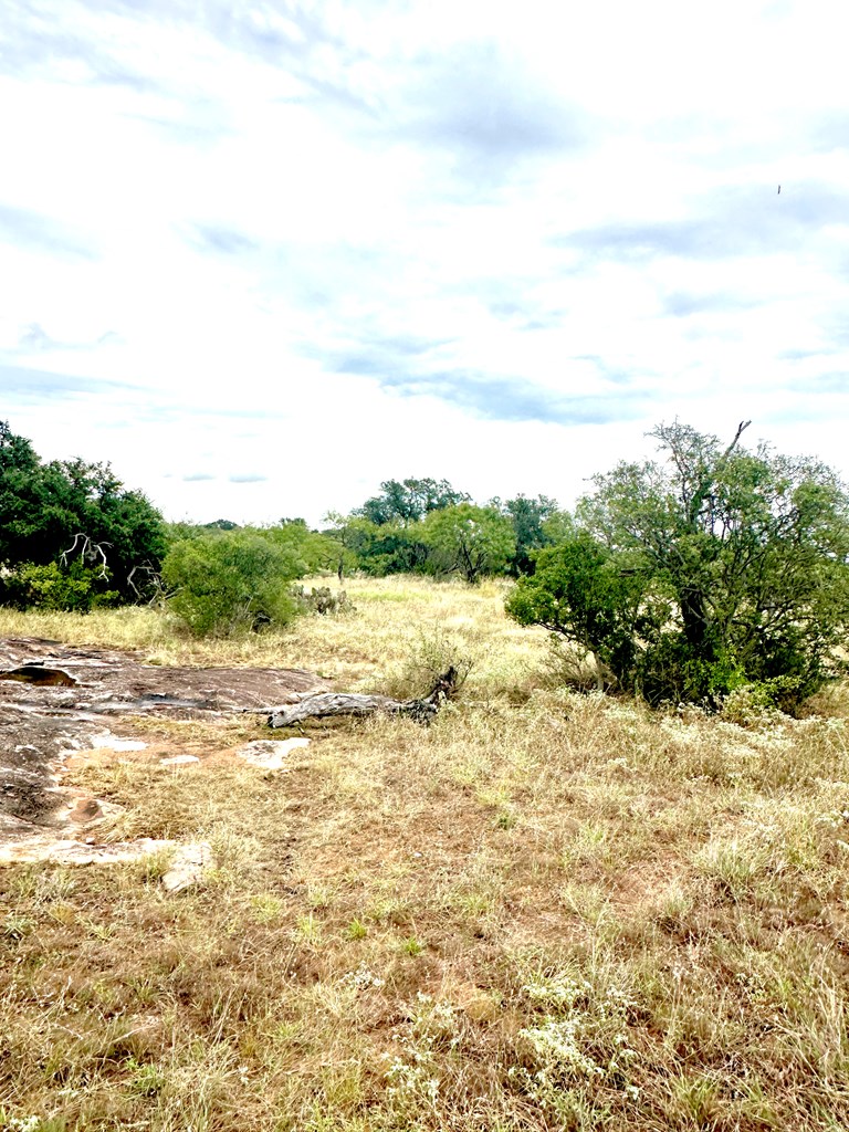 1981 Kothmann Road Art, TX 76820 - Photo 8 of 10