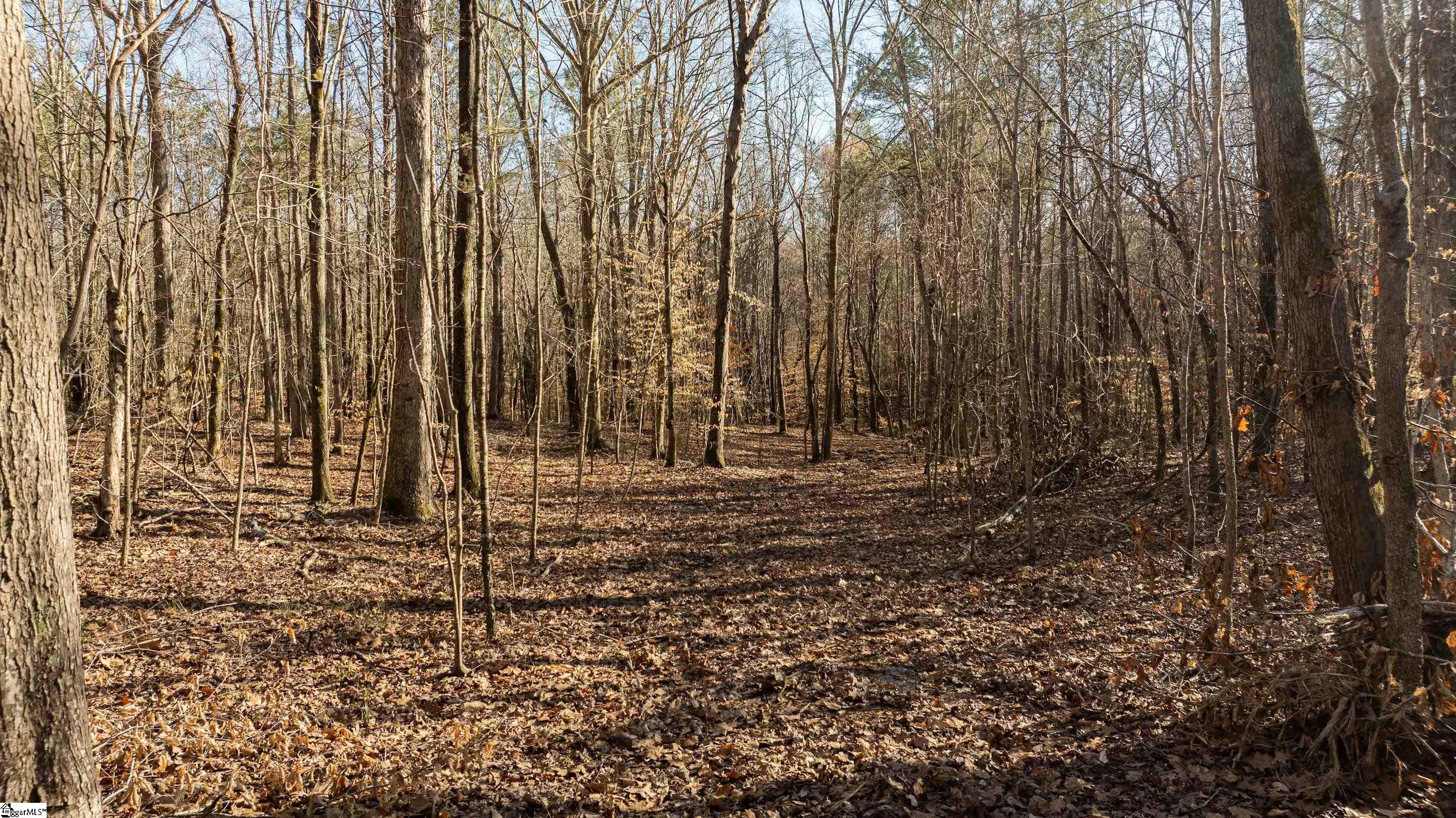 0 Lake Road Clinton, SC 29325 - Photo 11 of 14