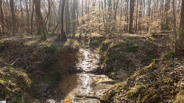 $365,000 | 0 Lake Road, Clinton, SC 29325