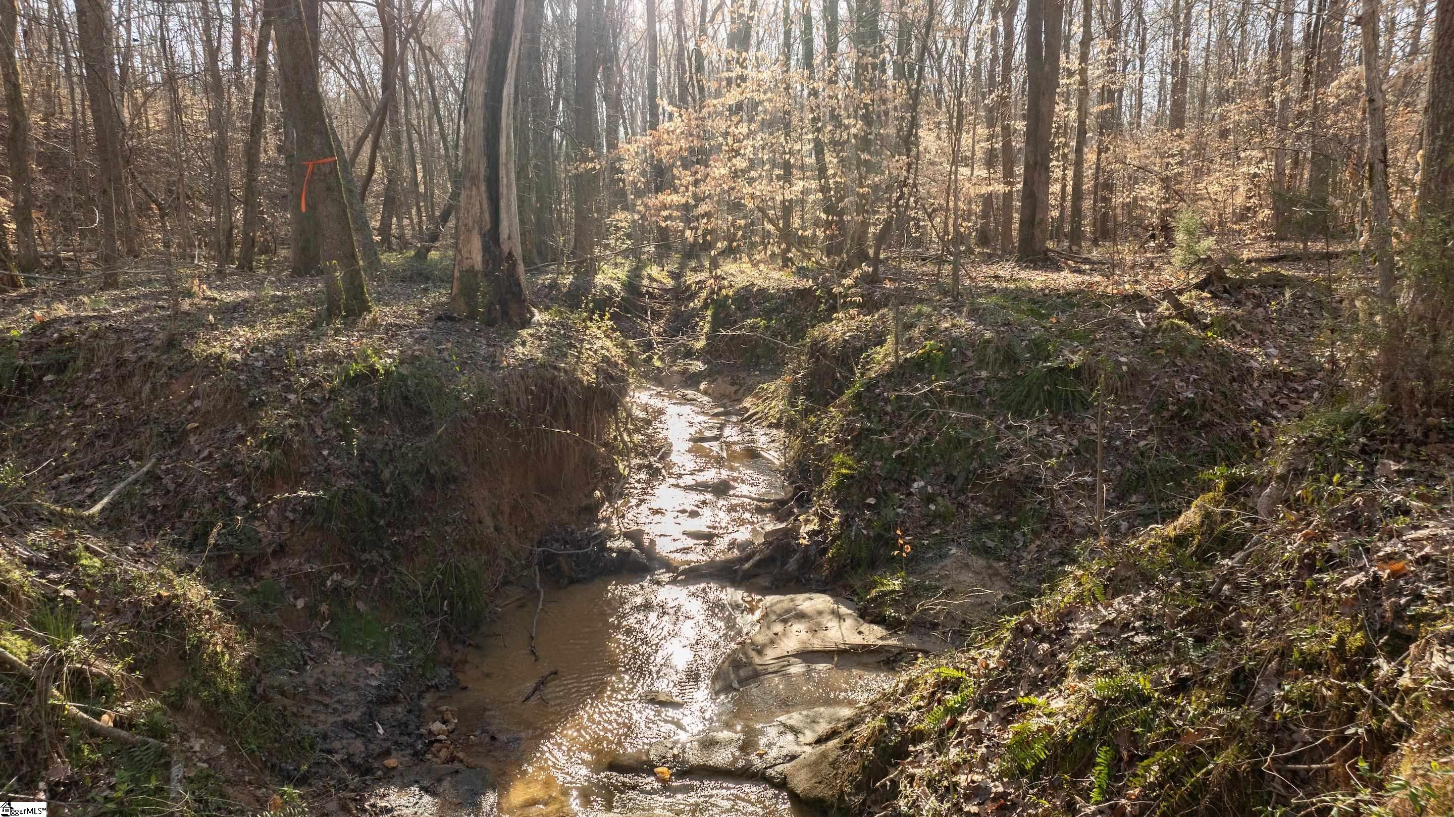 0 Lake Road Clinton, SC 29325 - Photo 12 of 14