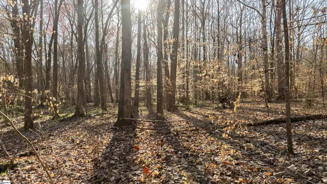 $365,000 | 0 Lake Road, Clinton, SC 29325