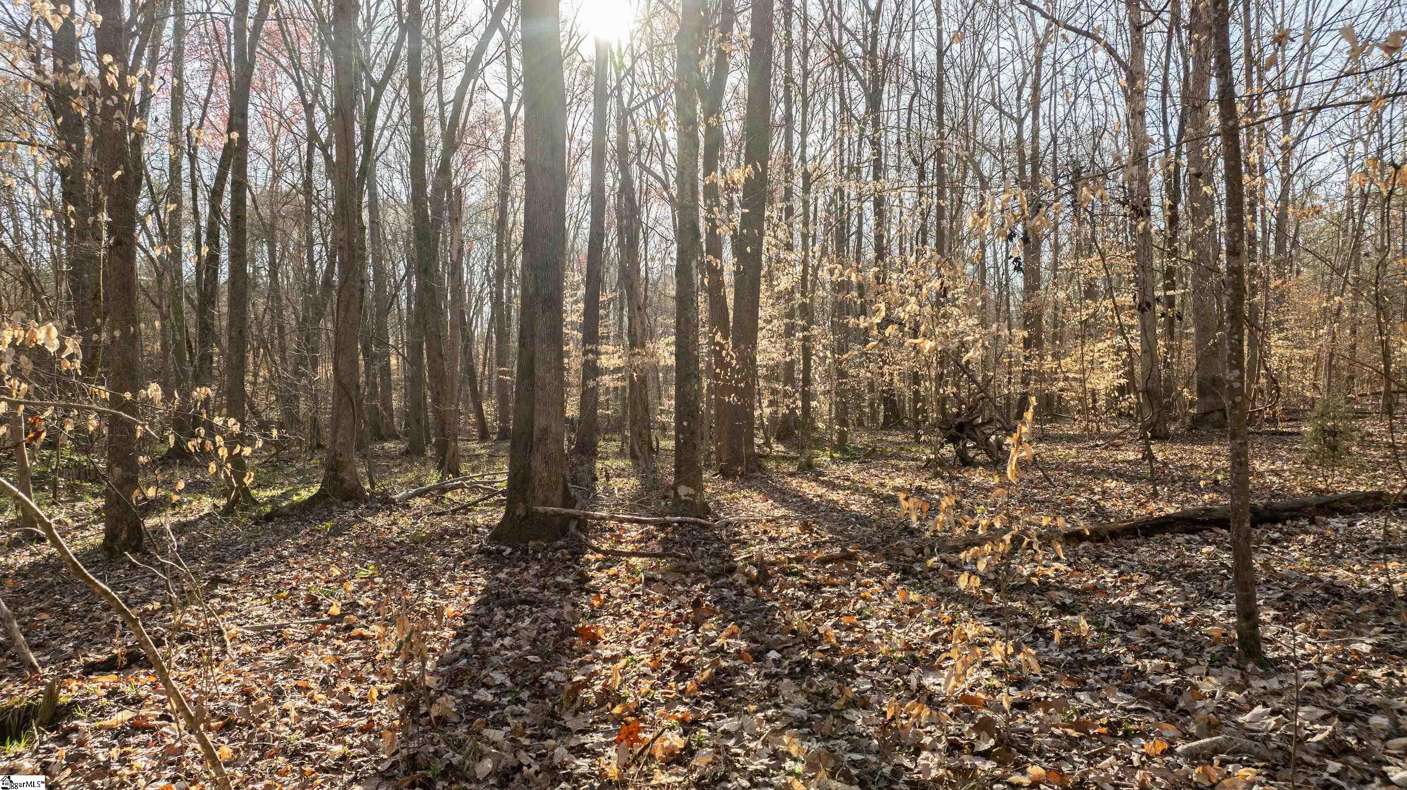 0 Lake Road Clinton, SC 29325 - Photo 13 of 14