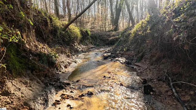 $365,000 | 0 Lake Road, Clinton, SC 29325