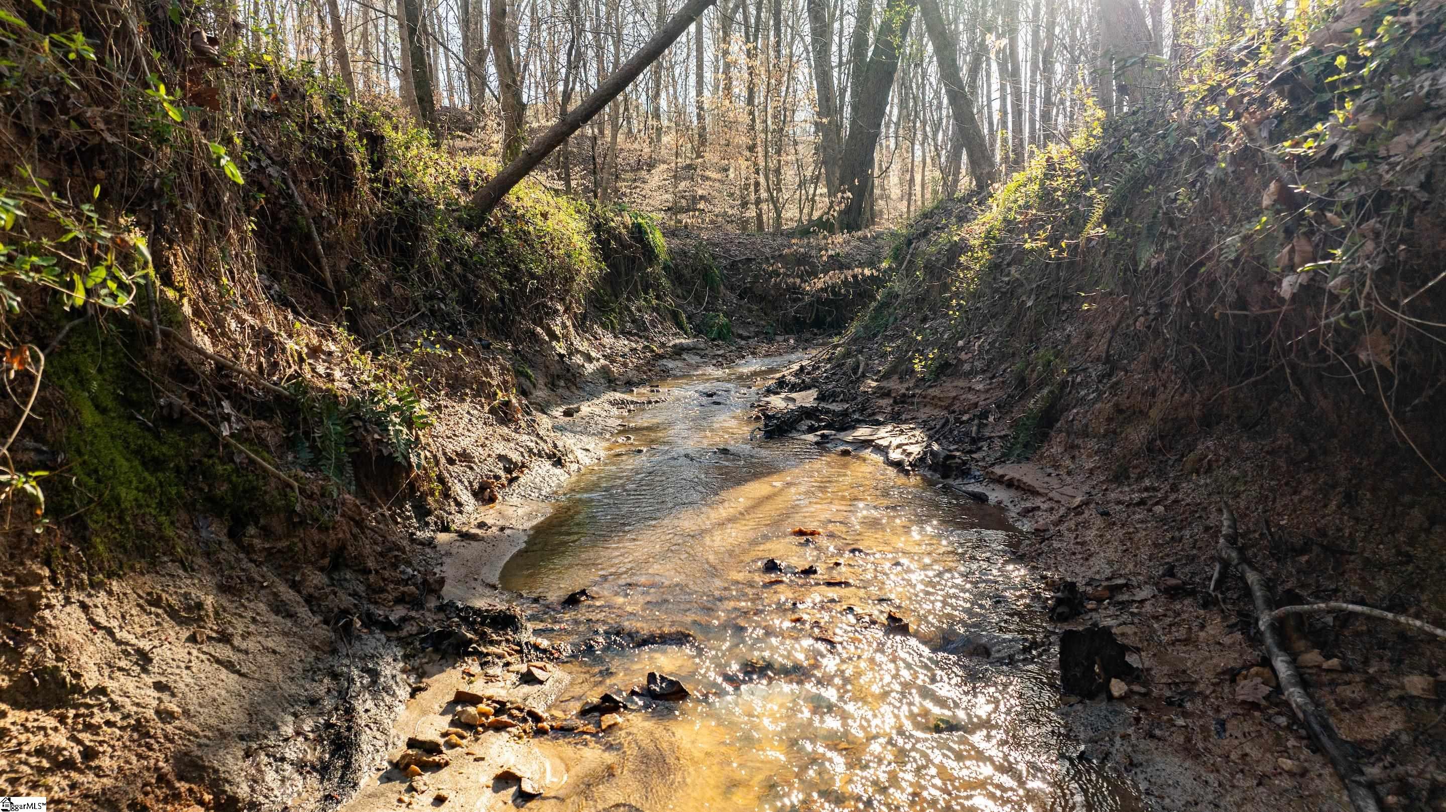 0 Lake Road Clinton, SC 29325 - Photo 14 of 14