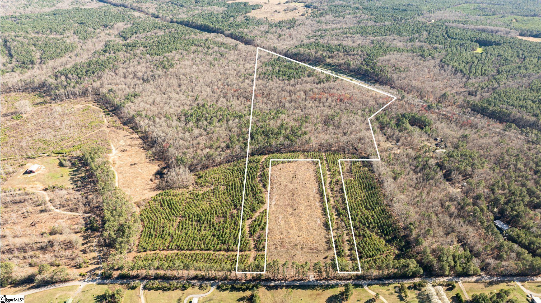 0 Lake Road Clinton, SC 29325 - Photo 2 of 14