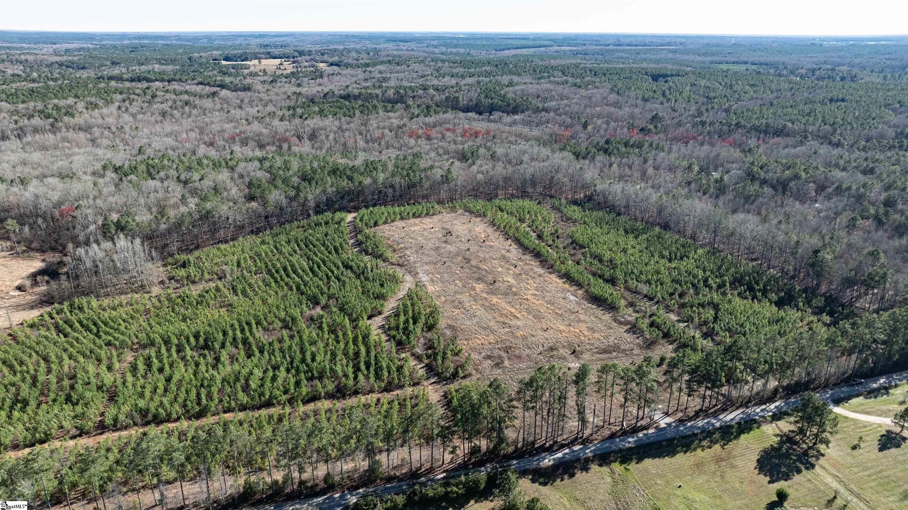 0 Lake Road Clinton, SC 29325 - Photo 4 of 14