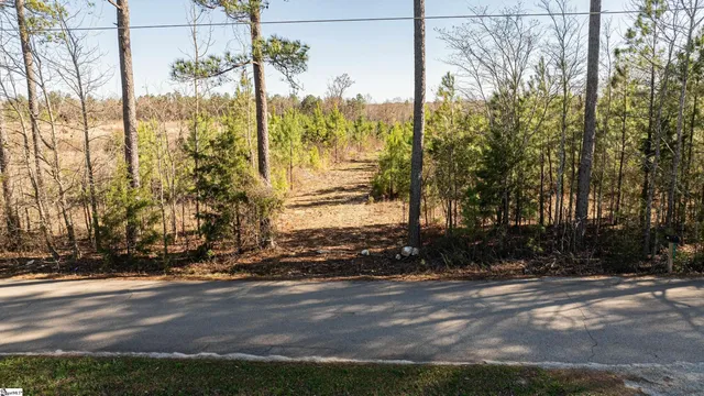 $365,000 | 0 Lake Road, Clinton, SC 29325